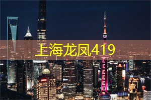 世界上最奇葩的手机壳